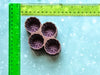 One Piece Christmas Bath Bomb Molds