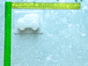 One Piece Christmas Bath Bomb Molds