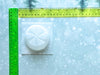 One Piece Christmas Bath Bomb Molds